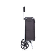 Boodschappentrolley Voyage aluminium “Berlin” – wiel Ø19 cm – assorti kleuren
