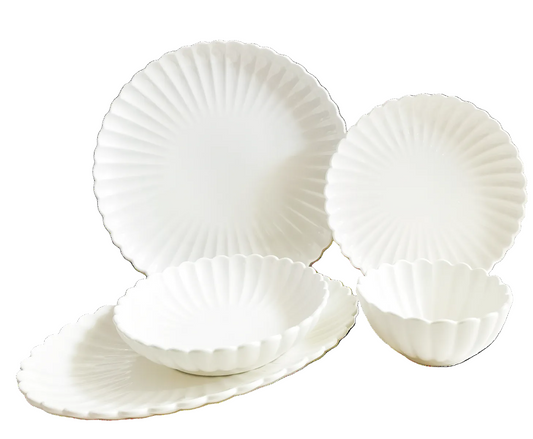 bricard paris dinner set wit 25 delig compleet overzicht