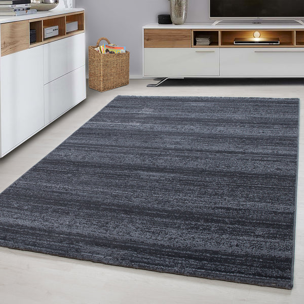 Grijs Vloerkleed PLUS – Modern Tapijt voor Woonkamer en Slaapkamer | Effen en Stijlvol Design