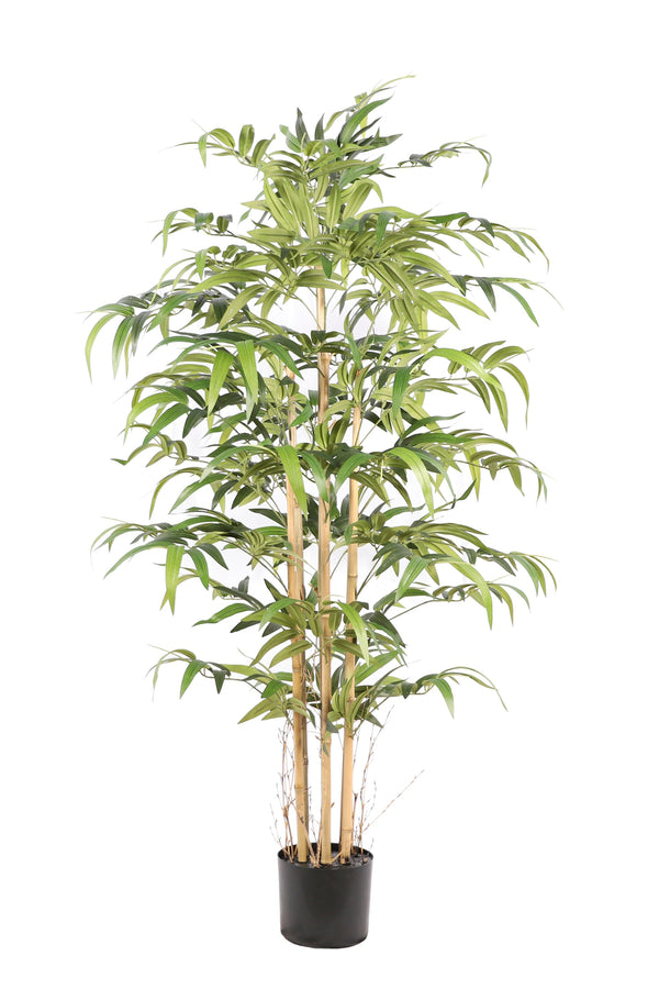 Kunst Bamboe 160 cm Japanese – Realistische Bamboe Kunstplant voor Binnen (Onderhoudsvrij)