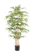 Kunst Bamboe 160 cm Japanese – Realistische Bamboe Kunstplant voor Binnen (Onderhoudsvrij)