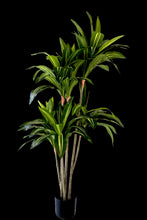 Kunst Dracaena Fragrans 150 cm – Realistische Dracaena Kunstplant voor Binnen (Onderhoudsvrij)