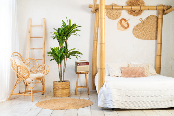 Kunst Dracaena Fragrans 150 cm – Realistische Dracaena Kunstplant voor Binnen (Onderhoudsvrij)