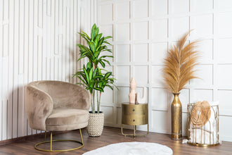 Kunst Dracaena Fragrans 150 cm – Realistische Dracaena Kunstplant voor Binnen (Onderhoudsvrij)