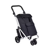 Boodschappentrolley Zwart – Stevige Opvouwbare Winkelwagen met Koeltas en RVS Frame