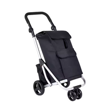 Boodschappentrolley Zwart – Stevige Opvouwbare Winkelwagen met Koeltas en RVS Frame