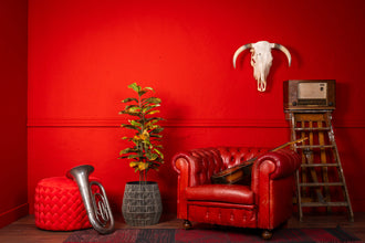 Kunstplant Ficus 120 cm – Realistische Ficus Kunstplant voor Binnen (Onderhoudsvrij)