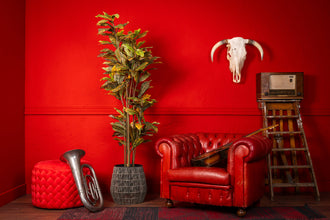 Kunst Ficus 180 cm Deluxe – Realistische Ficus Kunstplant voor Binnen (Onderhoudsvrij)