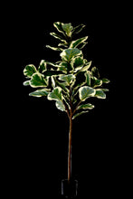 Kunstplant Ficus Lyrata 160 cm Deluxe – Vioolbladplant Kunst (Onderhoudsvrij)