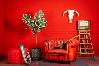 Kunstplant Ficus Lyrata 160 cm Deluxe – Vioolbladplant Kunst (Onderhoudsvrij)