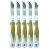 Solingen Schilmesjes Set – 6 Stuks – Gekarteld RVS Lemmet – 18 cm – Goud/Wit Handvat
