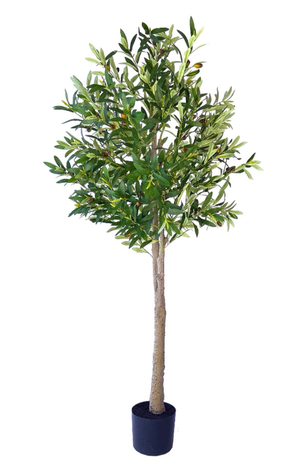 Kunst Olijfboom 160 cm – Realistische Olijfboom Kunstplant voor Binnen (Onderhoudsvrij)