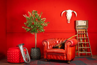 Kunst Olijfboom 160 cm – Realistische Olijfboom Kunstplant voor Binnen (Onderhoudsvrij)