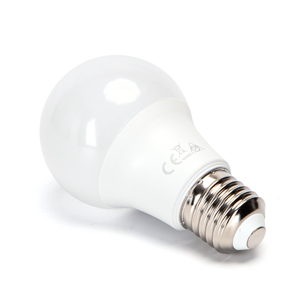 LED Lamp A60 E27 6W Daglicht 6500K – Energiezuinige Normale Bulb met 510 Lumen – Vervangt 42W Gloeilamp